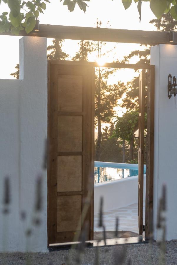 Tramonto Villa Lagoudi Zia ภายนอก รูปภาพ